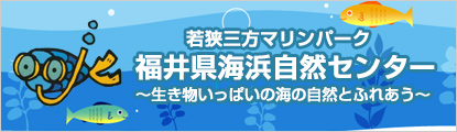 福井県海浜自然センター(若狭三方マリンパーク)